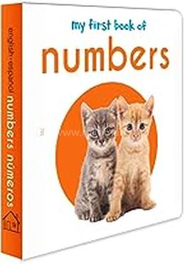 My First Book of Numbers image