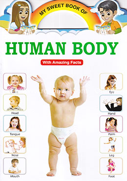 My Sweet Book of Human Body image