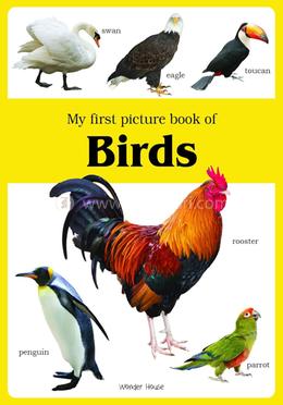 My first picture book of Birds image