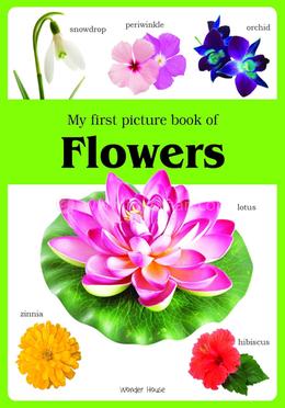 My first picture book of Flowers image