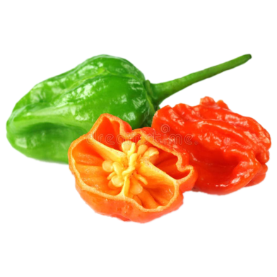 Naga Chilli Seed image