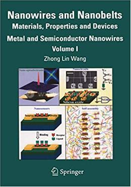 Nanowires and Nanobelts: Materials, Properties and Devices - Volume 1 image