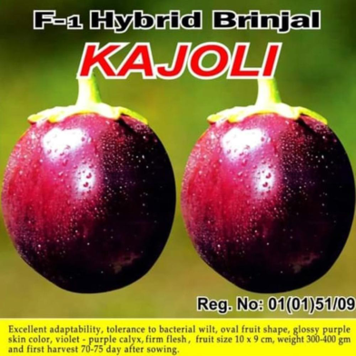Naomi Seed Brinjal Kajoli - 1 gm image
