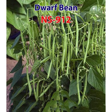 Naomi Seed Dwarf Bean 10 gm image