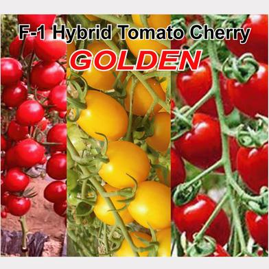 Naomi Seed F-1 Hybrid Tomato Cherry GOLDEN 50 Pcs Seed image