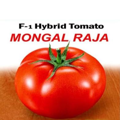 Naomi Seed Hybrid Tomato Mongal Raja 5 gm image