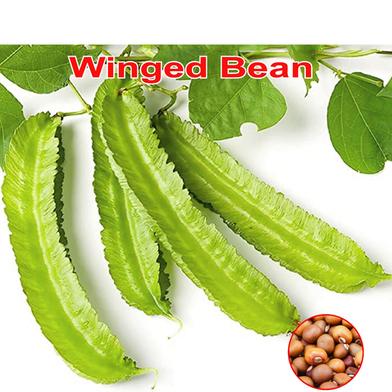 Naomi Seed Winged Bean 5 gm image