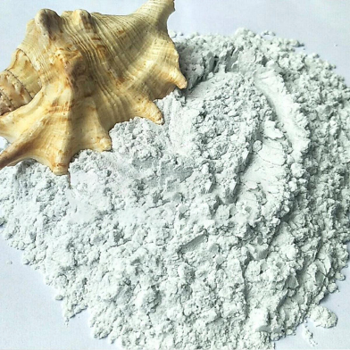 Nature Leaf Conch Shell Powder (Shongkho Gura) - 100 gm image