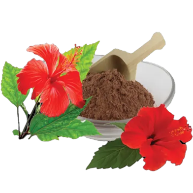 Nature Leaf Hibiscus Flower Powder(Joba Ful Gura) - 100 gm image