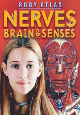 Nerves, Brain and Senses image