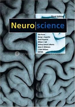 Neuroscience image