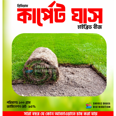 Organic Carpet Grass Seeds Imported 100gm image