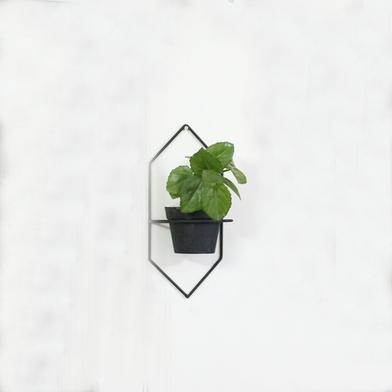 Brikkho Hat Package-3 (Wall Hanger, Desk Plant, Special Plant) image