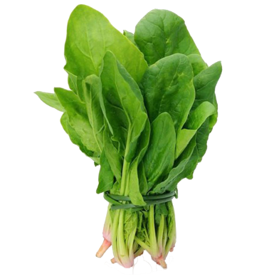 Panjab All Green Palong Seeds Indian Repack - 1gm image