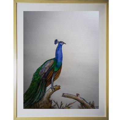 Peacock Watercolor Painting (12\16 inches) image