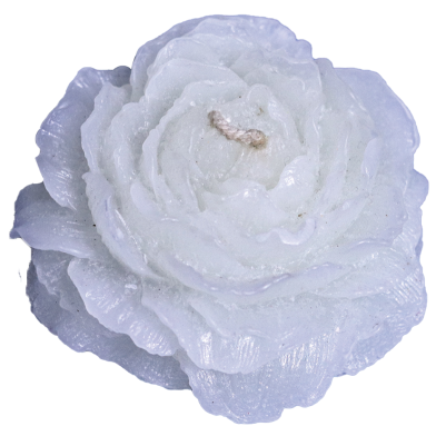 Peony Flower Sandalwood Fragrance Candle - White Color image