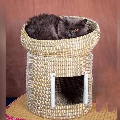 Pet Cat Twing House image