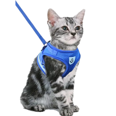 Pet Harnesses Cat Traction Lash Vest Cat Chest Lash Is Reflective At Night To Prevent Breaking Away From The Walking Cat Leash image