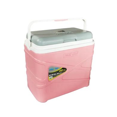 Pinnacle Ice Chest Cooler Box 10 litres Pasco W/Ice Brick Lid image