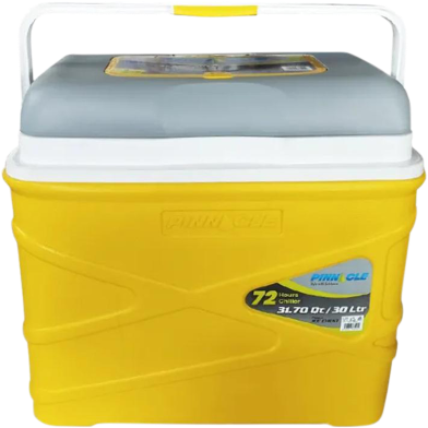 Pinnacle Ice Chest Cooler Box 30 litres Pasco image