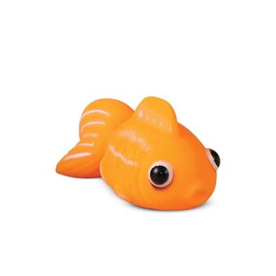 Playtime Cute Queen Fish image