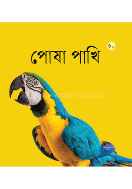 পোষা পাখি image