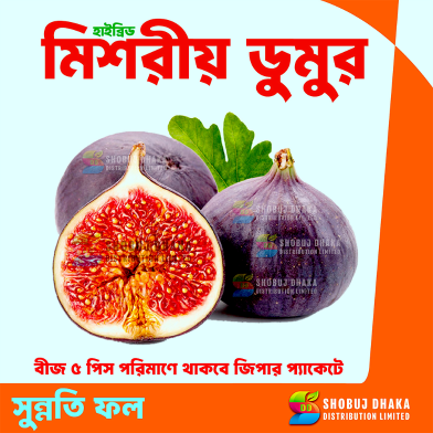 Premium Egyptian Fig Seeds 5pcs image