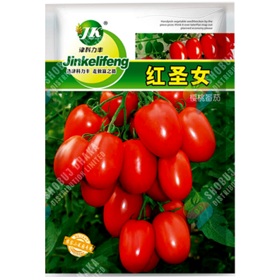 Premium Red Saint Cherry Tomatoes Re-Pack - 10pcs image