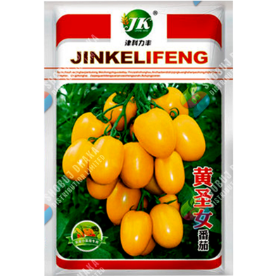 Premium Yellow Saint Cherry Tomatoes Re-Pack - 10pcs image