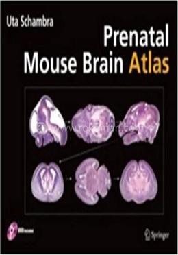 Prenatal Mouse Brain Atlas image