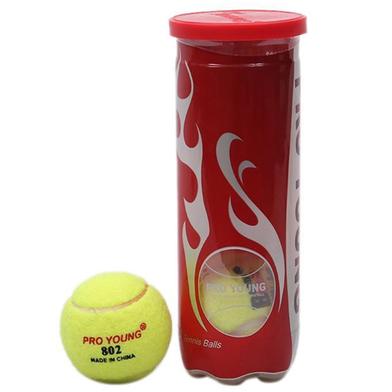 Pro Young Tennis Ball Cricket Special 1 Can image