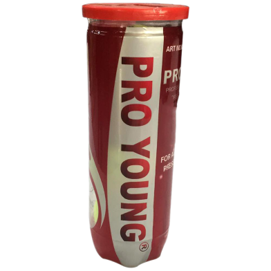 Pro Young Tennis Ball Cricket Special 1 Can image