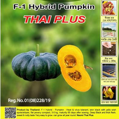 Naomi Seed Pumpkin Thai Plus - 5 gm image