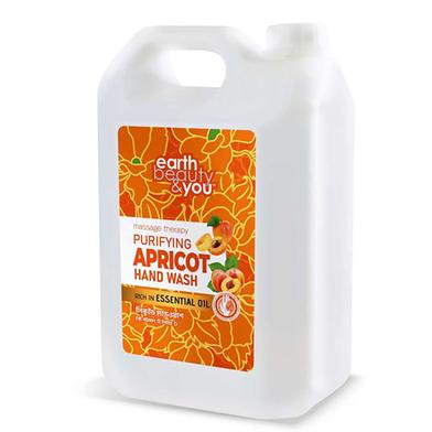 Earth Beauty and You Purifying Apricot Hand Wash - 5L image
