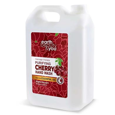 Earth Beauty and You Purifying Cherry Hand Wash-5L image