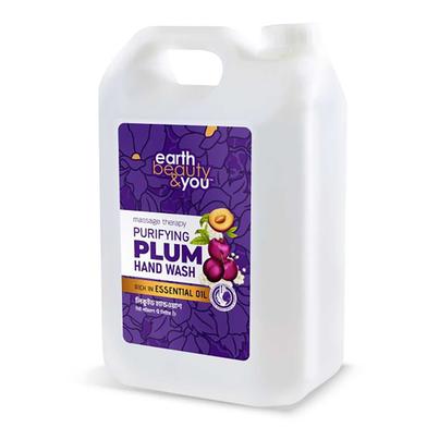 Earth Beauty and You Purifying Plum Hand Wash-5L image