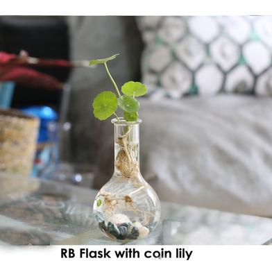 Brikkho Hat RB Flask with coin lily image