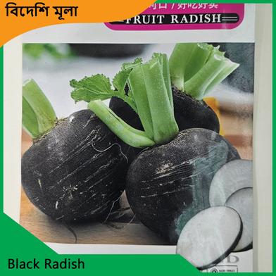 Radish Seeds- Black Radish image