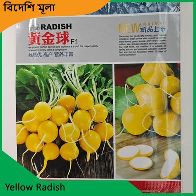 Radish Seeds- Yellow Radish image