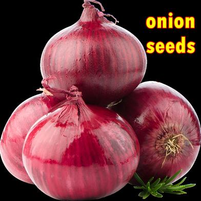 Red Hybrid Onion Seeds 1gm Re-Pack image