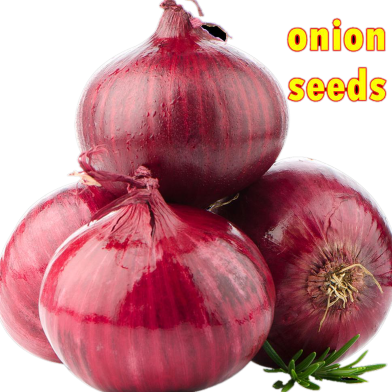 Red Hybrid Onion Seeds 1gm Re-Pack image