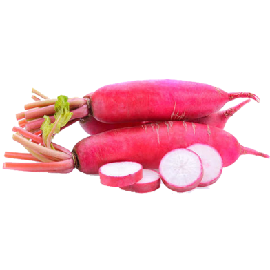 Red Radish Seeds Intact Pack - 0.1 Gm image