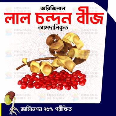 Red Sandalwood (Lal Chandan) Seeds 5pcs image