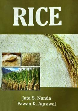 Rice image