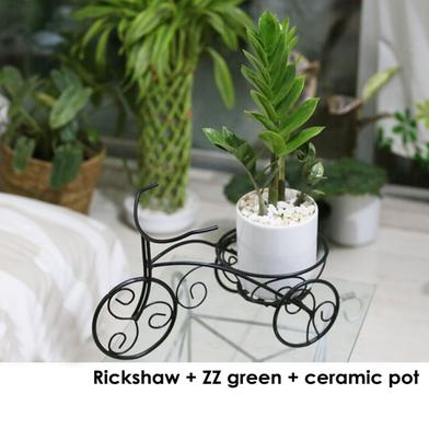 Rickshaw Planter ZZ Green With Ceramic Pot image