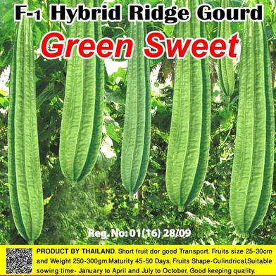 Naomi Seed Ridge Gourd Green sweet - 5 gm image