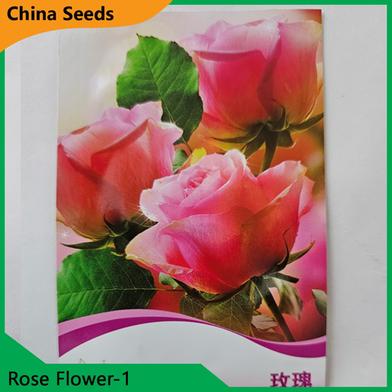 Rose Flower Seeds- Rose Flower 1 image