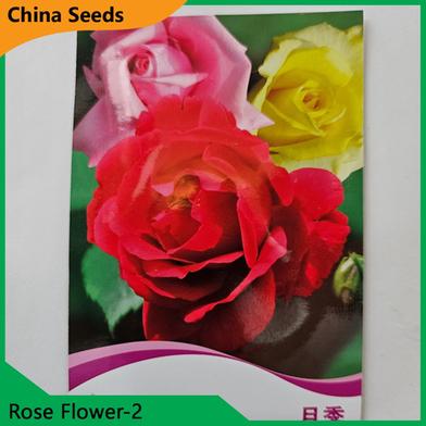Rose Flower Seeds- Rose Flower 2 image