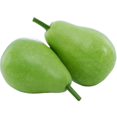 Round Bottle Gourd Seeds Intact Pack - 0.1gm image