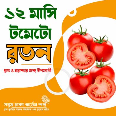 Baromasi Deshi Roton Tomato Beej image